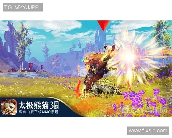 龙之队勇闯巅峰之路展现团结与拼搏精神的传奇旅程