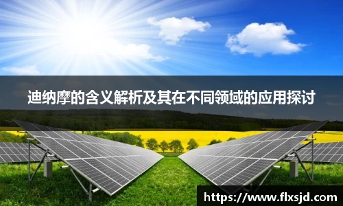 迪纳摩的含义解析及其在不同领域的应用探讨